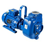 Самовсасывающий насос Varisco JE 3-100 G10 NT20